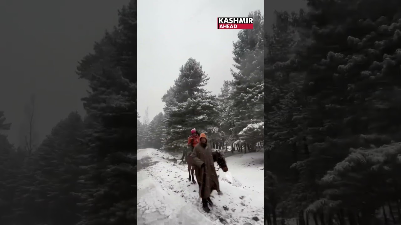 When the snow falls, the world stands still &mdash; Kashmir&rsquo;s winter wonders #Kashmir