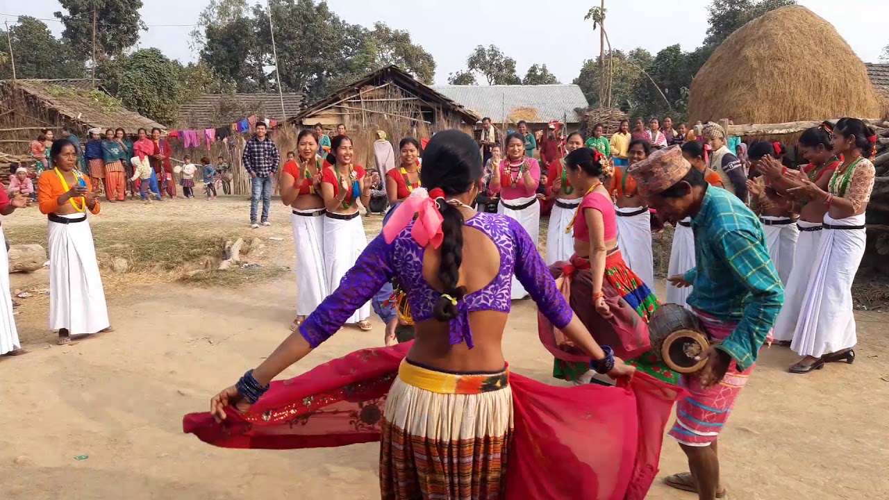 Tharu folk Dance | Maghauta Nach | Tharu Maghauta song | Guruprasad Kumal Bulbul