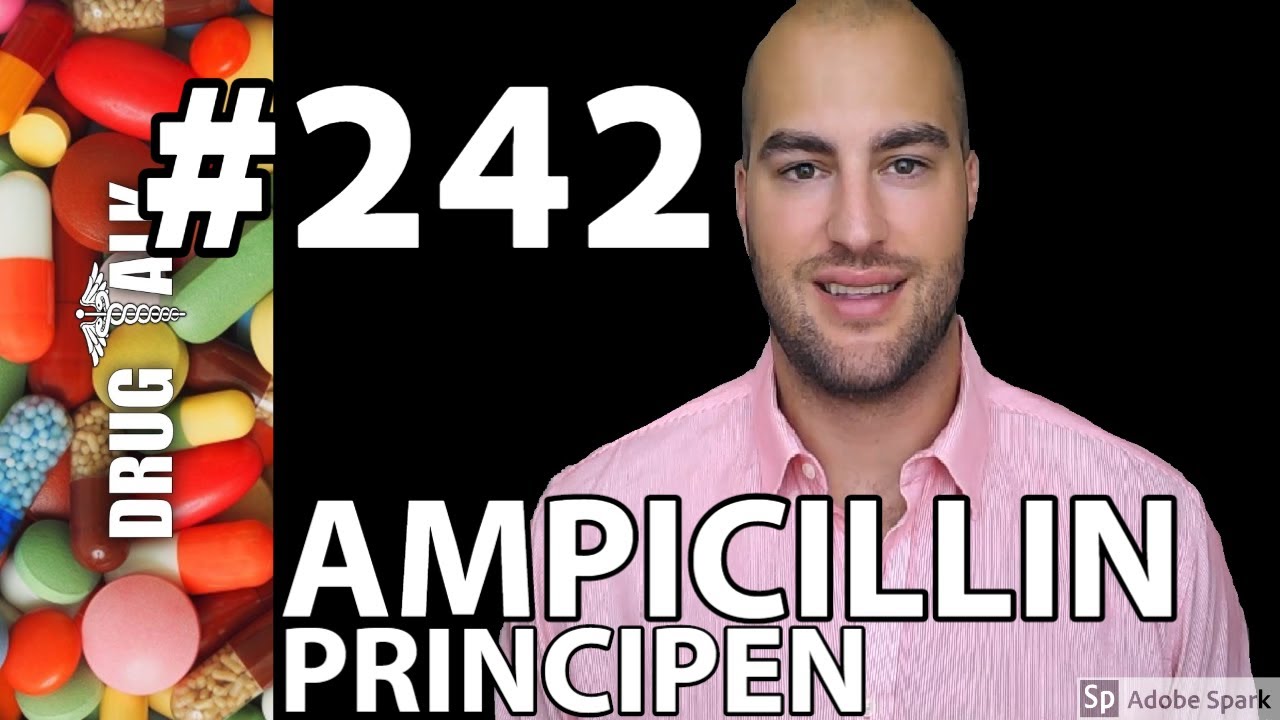AMPICILLIN (PRINCIPEN) - PHARMACIST REVIEW - #242