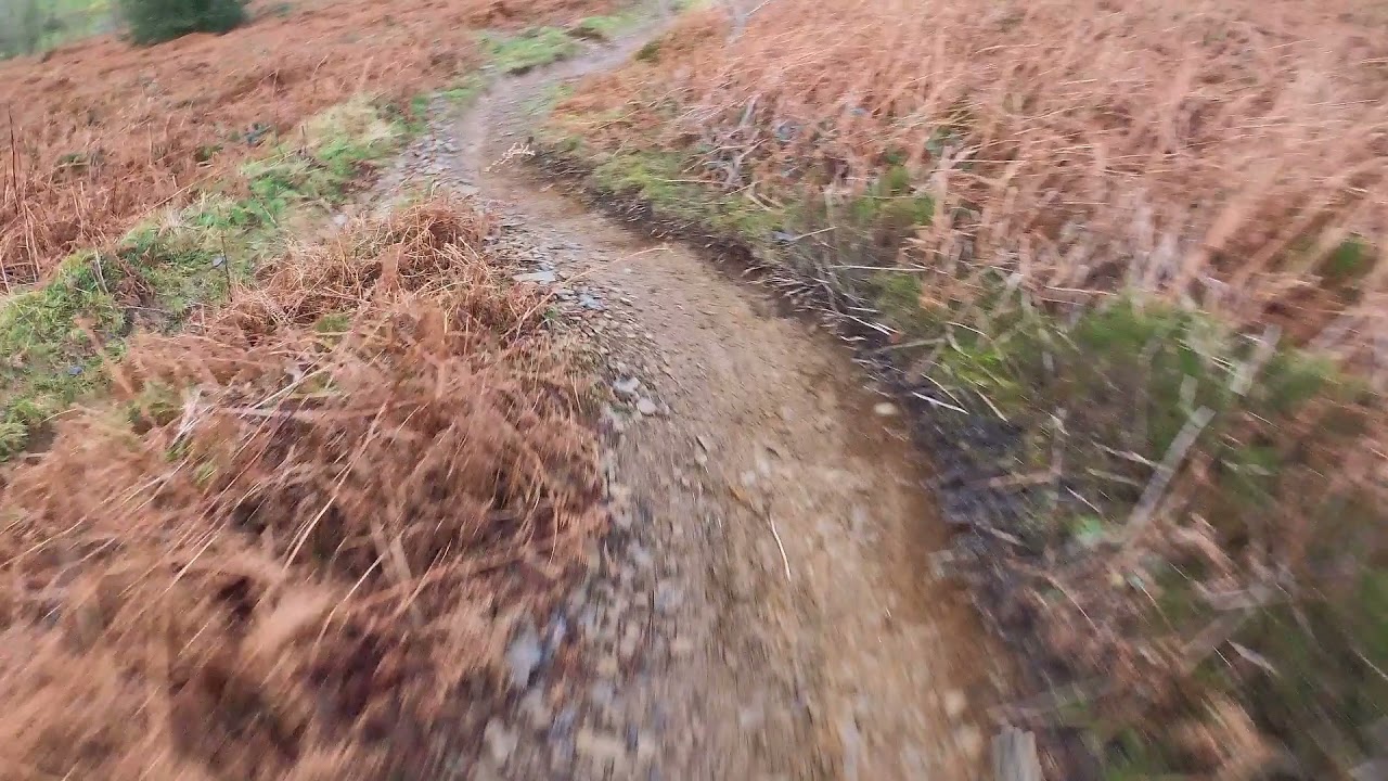 Llangollen dh track (mainline)