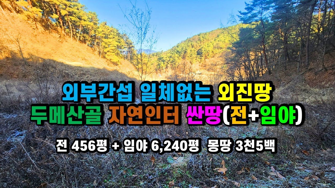 #자연인터매매 #두메산골오지땅 #나만의왕국외진땅 경상북도 봉화군 명호면 고감리 농지+임야매매, 산촌오지 염소키우기 좋은땅 산양삼재배 송이재배 산약초재배 소액땅매매 (봉화-5134)
