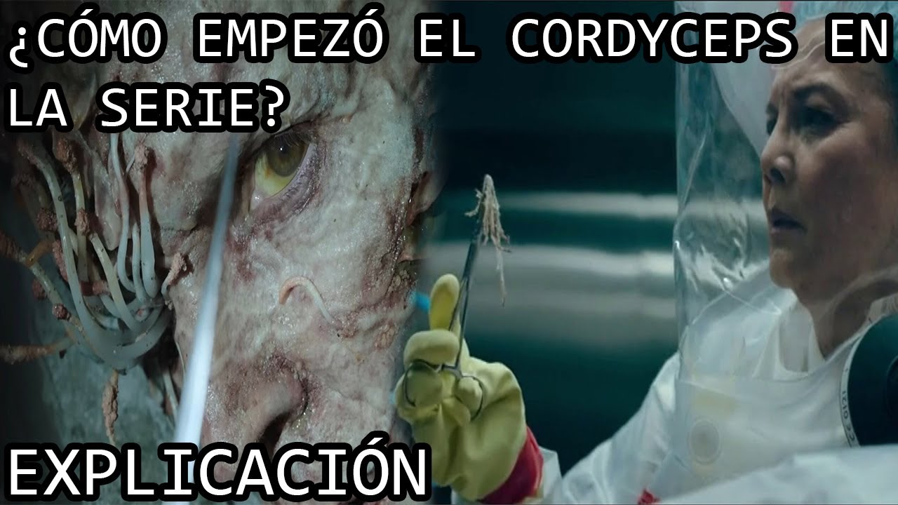 ¿Cómo Empezó la Infección? | El Origen del Cordyceps en la serie de The Last of Us de HBO Explicado