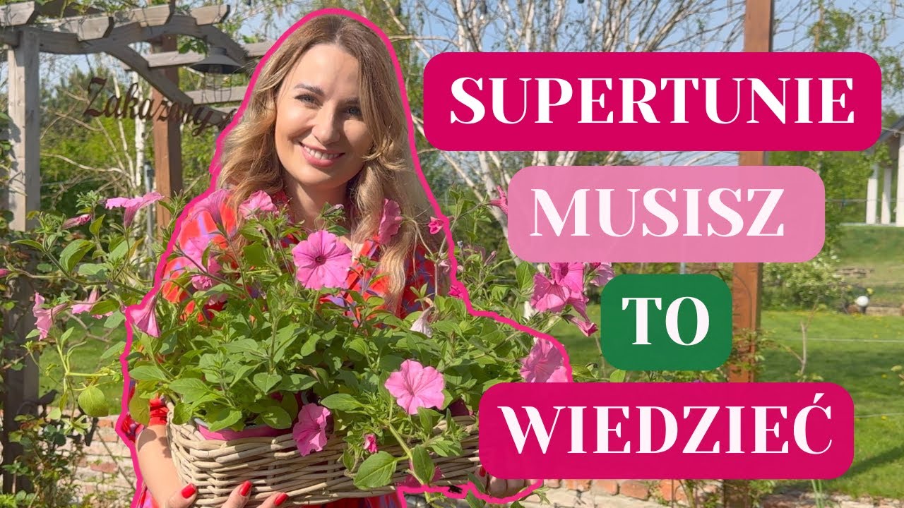 SUPERTUNIE BUBBLEGUM - DLACZEGO ZNOWU WYBRAŁAM JE NA SWÓJ TARAS?