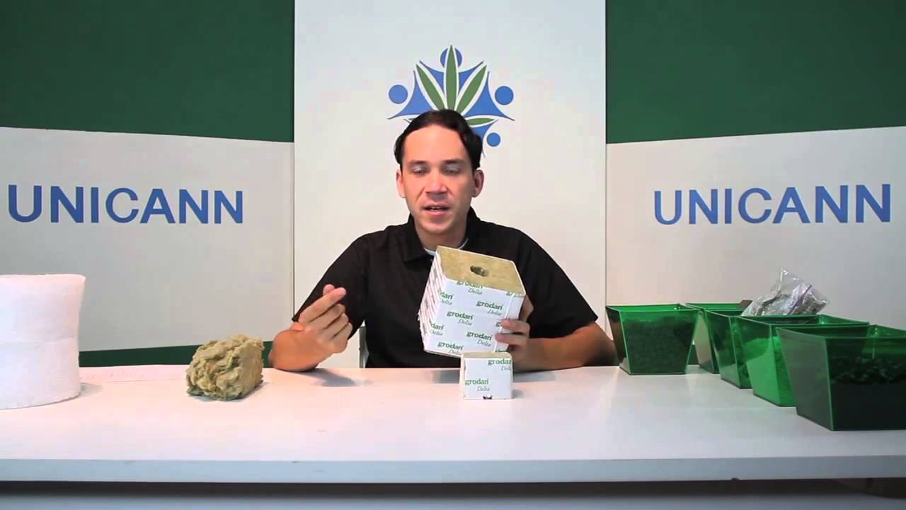 Cannabis University - Mediums - Rock Wool