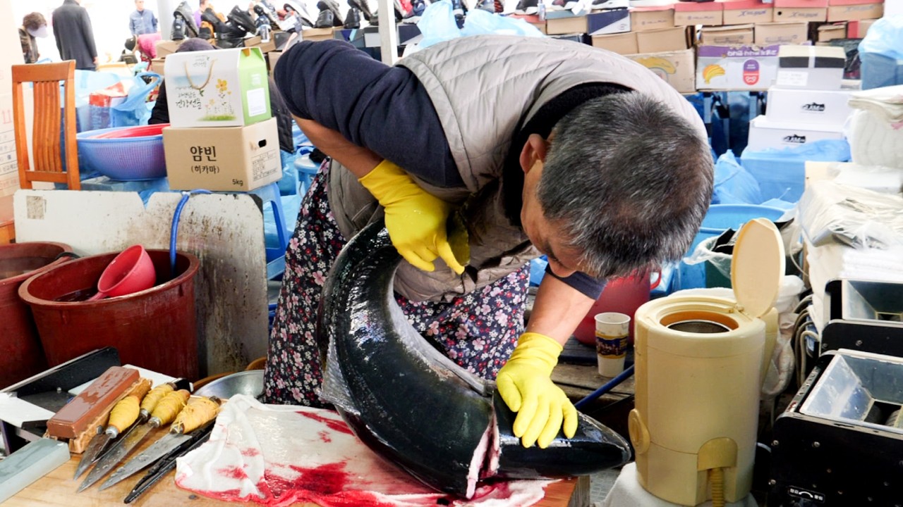 14kg 넘는 특방어 부터 싱싱한 활 오징어 까지 순식간에 썰어버리는 전설의 남창 칼잡이 몰아보기 Korean Sashimi Master