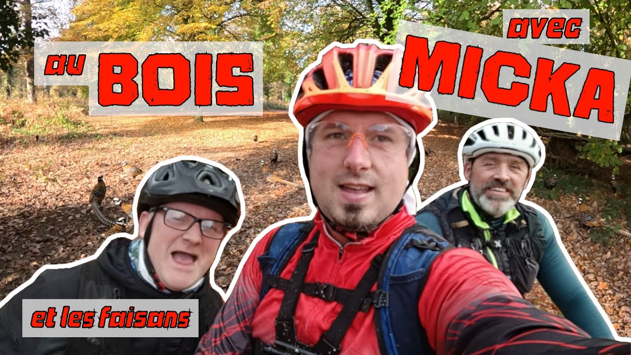 Dans les Bois avec MICKA [VTT XC Team POUET]