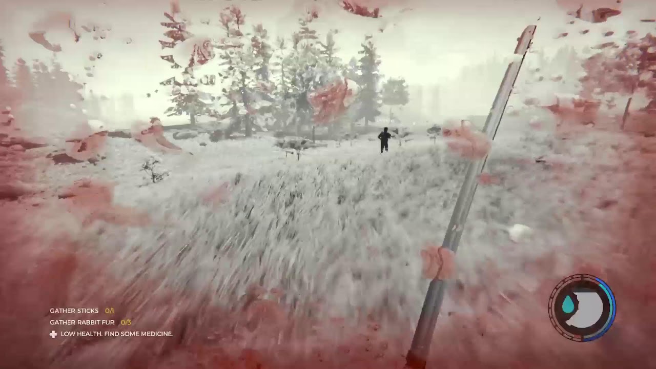 2 idiots 1 forest