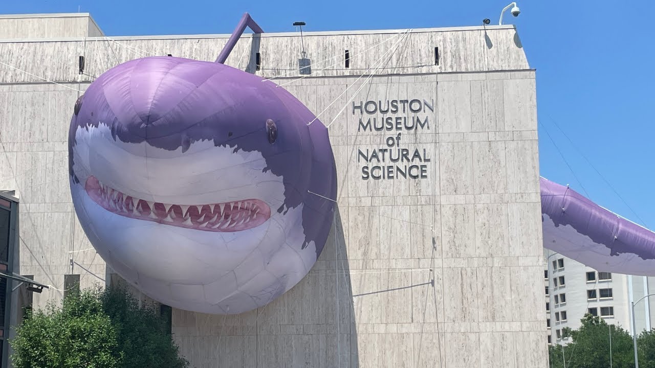 Houston Museum of Natural Science - Dinosaurs, Mummies, Stones, and Taxidermy @houstonmuseum