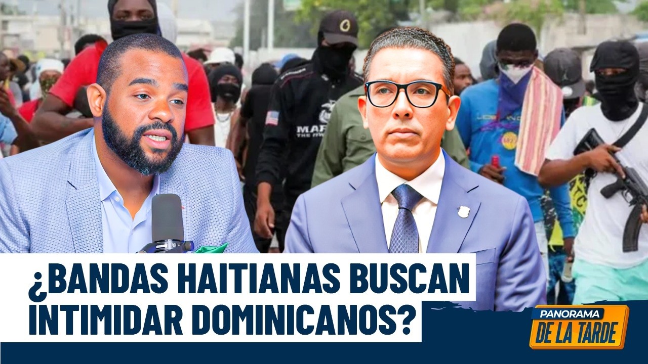 Senador Guillermo Lama afirma bandas de haitianos buscan intimidar a los dominicanos