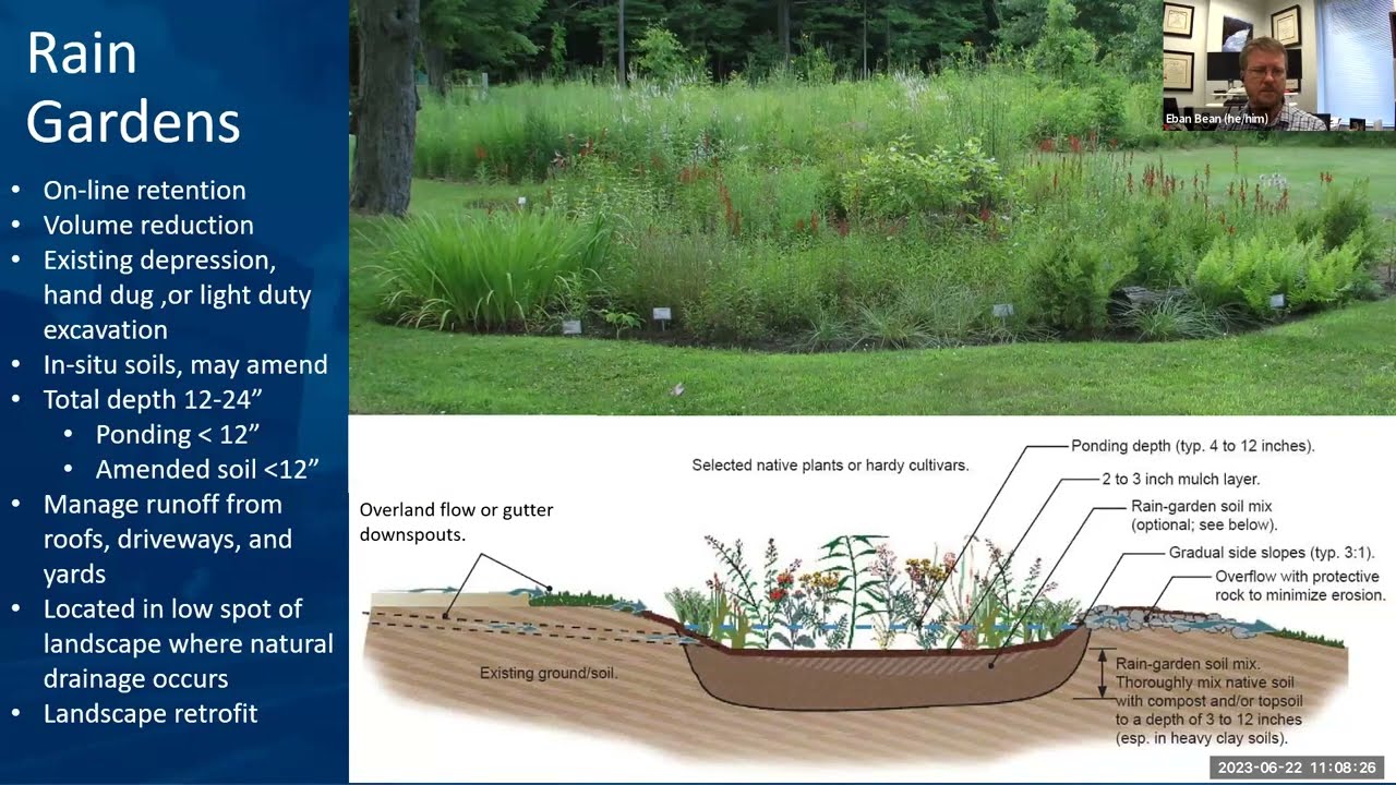 Bioretention and Rain Gardens