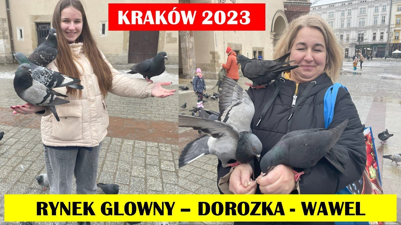 #2. KRAKÓW 2023 - Gołębie - Dorożka - Wawel - Smok
