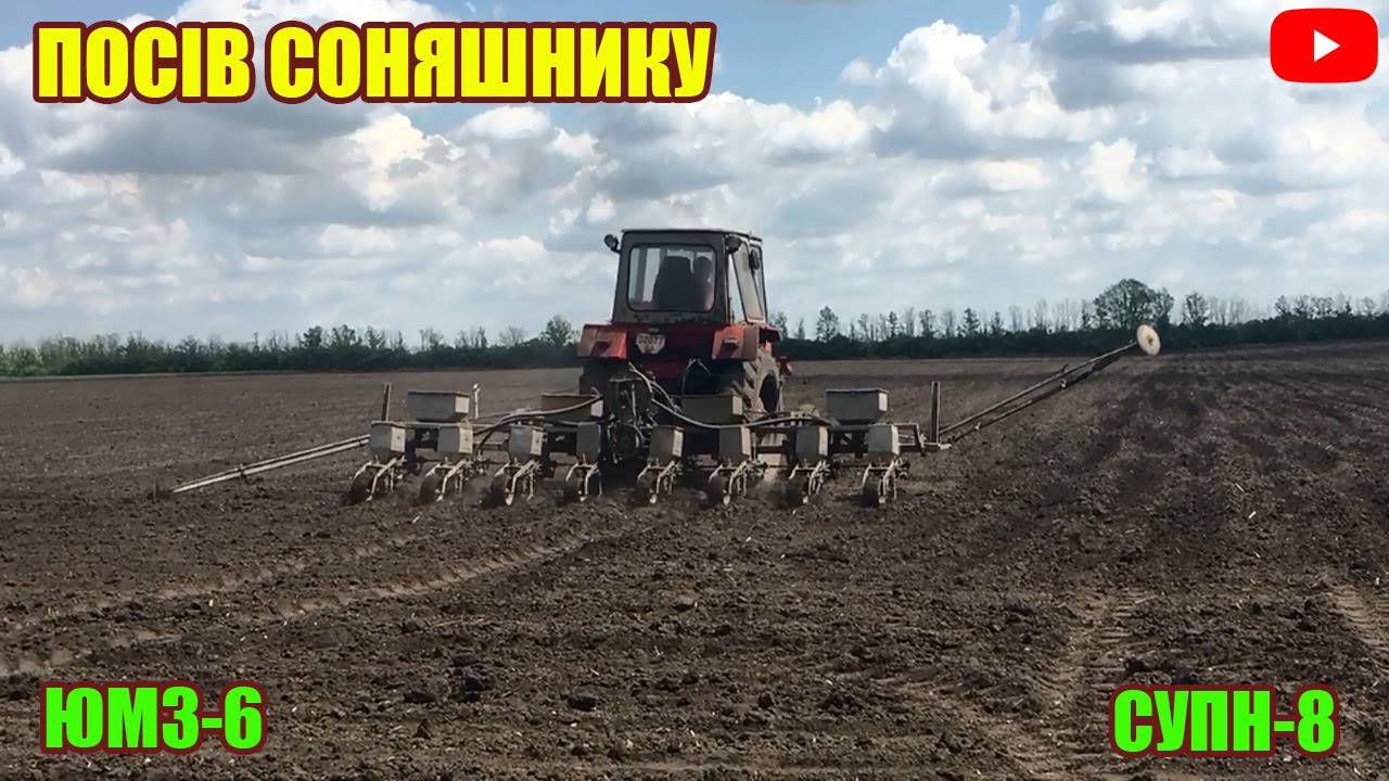 ПОСІВ СОНЯШНИКУ 2021 | ЮМЗ-6 + СУПН-8 НА ПОСІВІ СОНЯХУ  