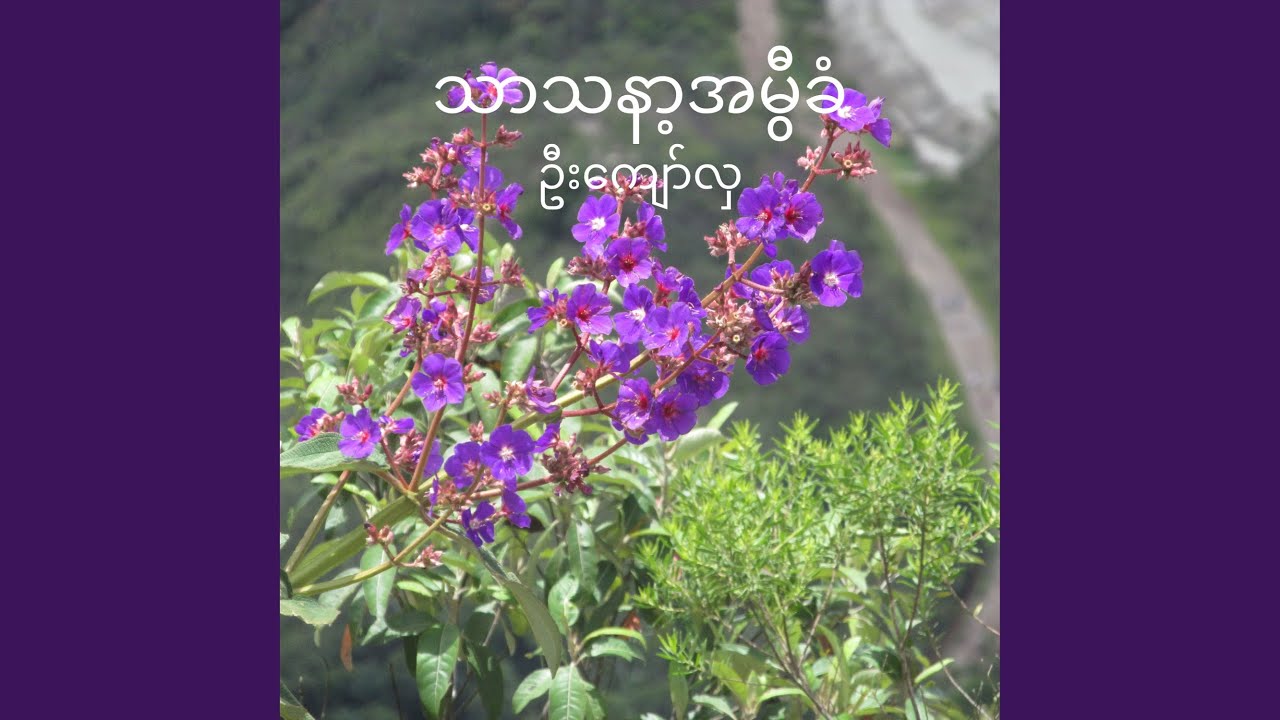 သာသနာ့အမွီခံ