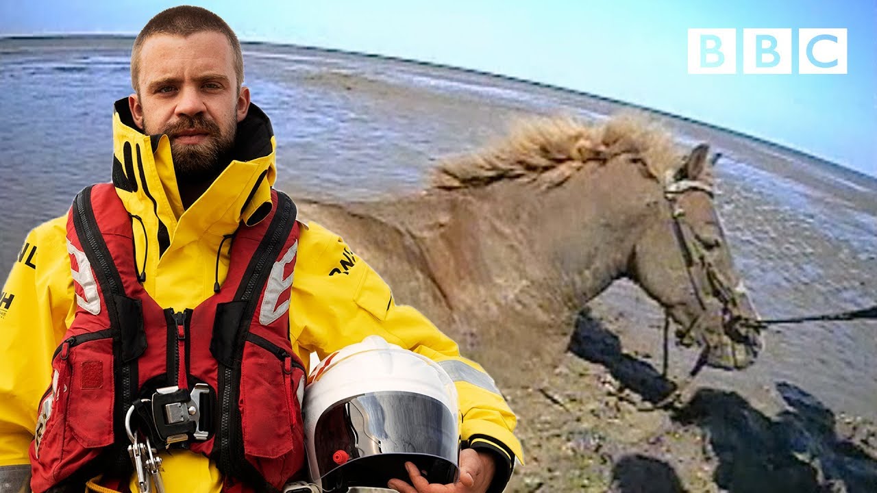 How do you save a trapped horse from drowning? | Saving Lives At Sea - BBC