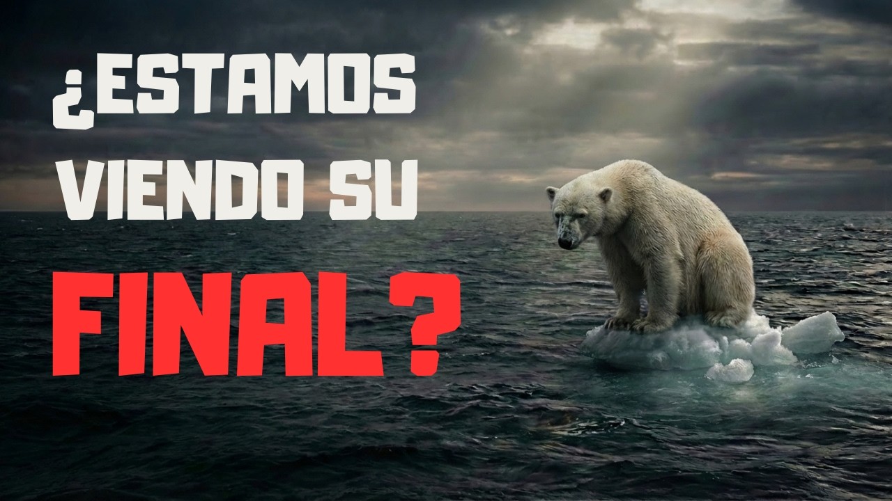 El OSO POLAR No Fue Hecho Para el Ártico… Te Mintieron