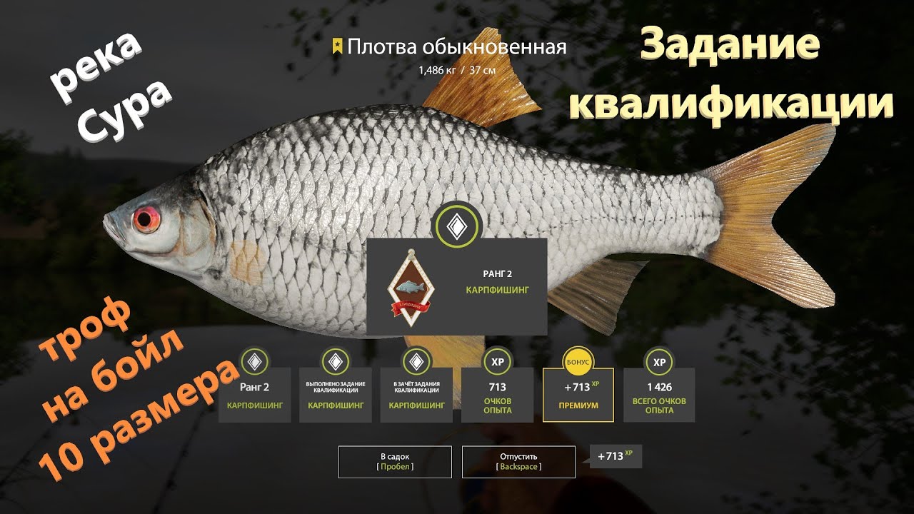 Русская рыбалка 4 - река Сура - Плотва: задание квалификации карпфишинг 3-1