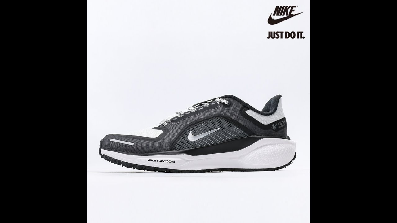 Nike Air Zoom Pegasus 41 GORE-TEX 'Iron Grey Summit White' FQ1356-002