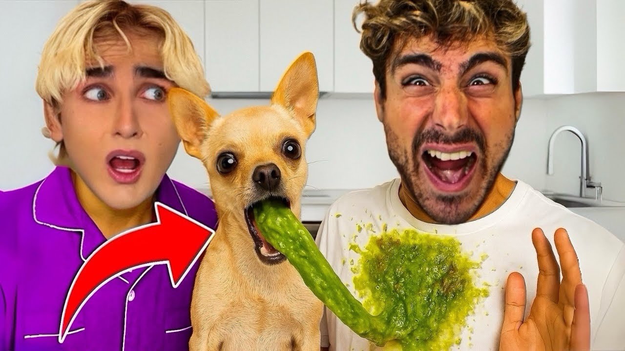 OUR DOG IS SICK! HE WONT STOP THROWING UP…💔