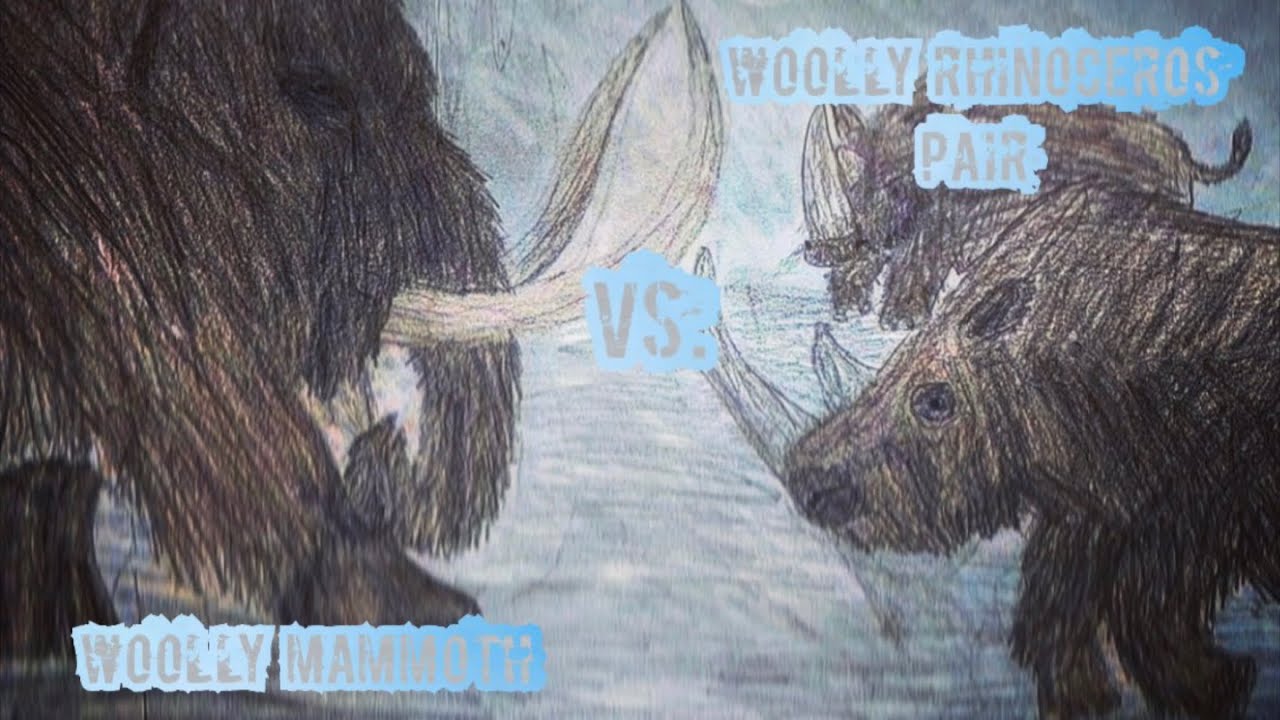 Woolly Mammoth Vs. Woolly Rhinoceros!