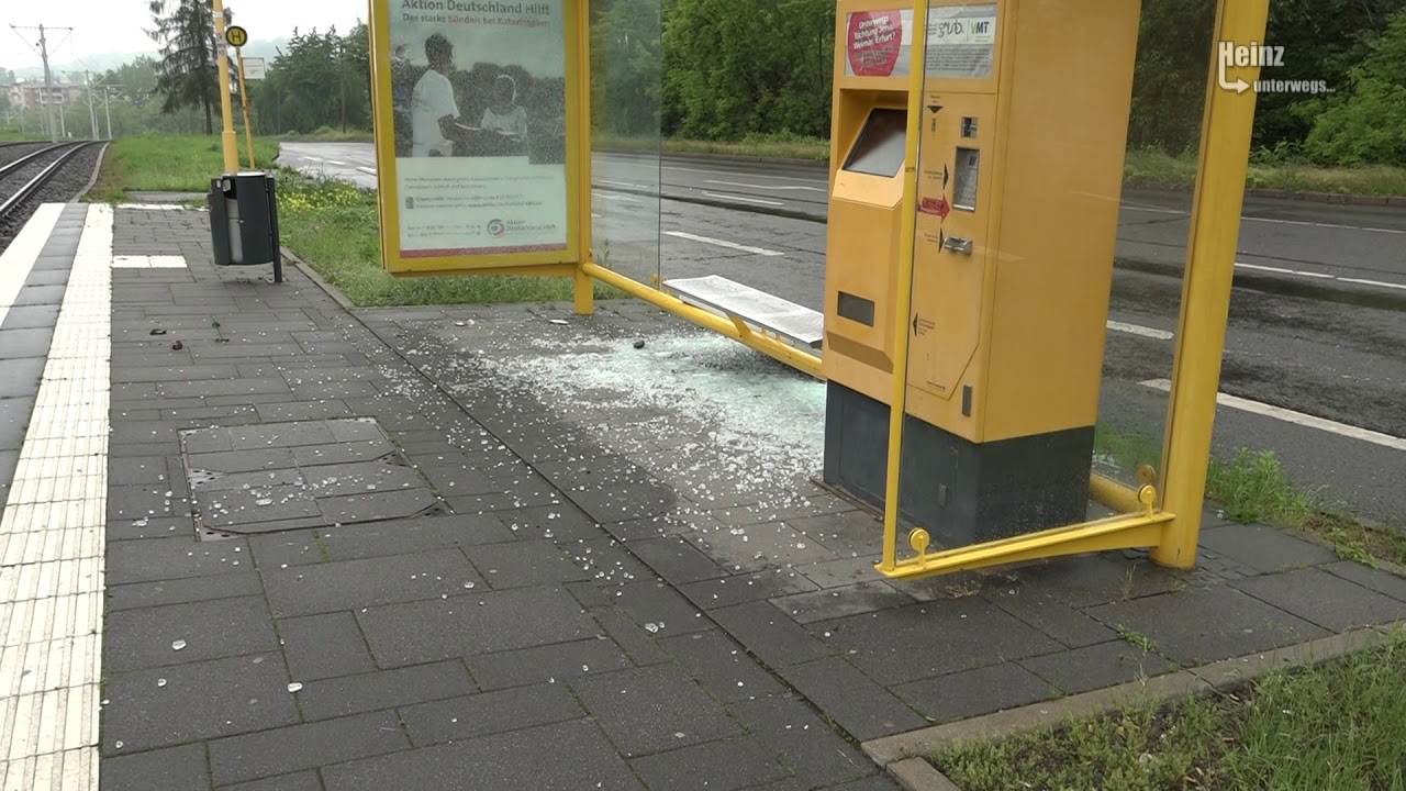Wer hat da zu wenig Hirn? (Gera, 14.06.2020)