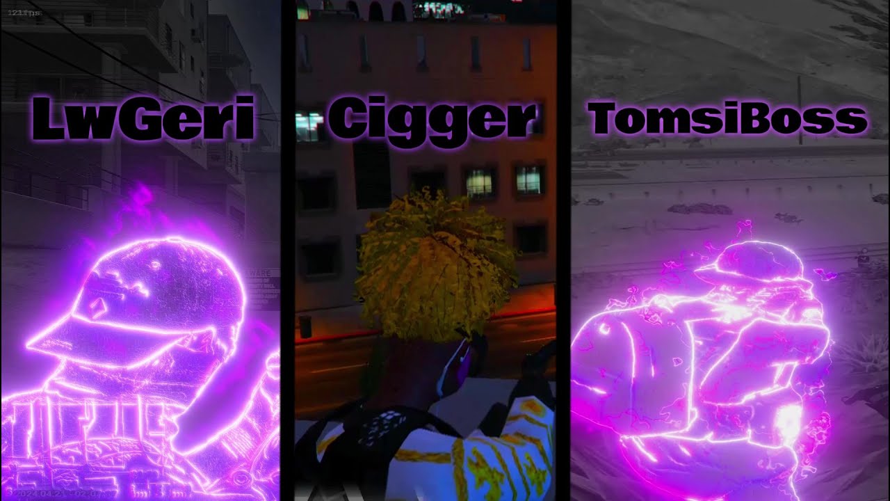 TOMSI X CIGGERNi*GÁNY X LWGeri  ARRP#3 TRIO   (NUMBER ONE TRIOTAGE)