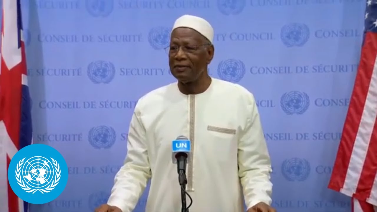 Libya: Pursuing Elected Leadership & Addressing Regional Concern | Security Council | United Nations