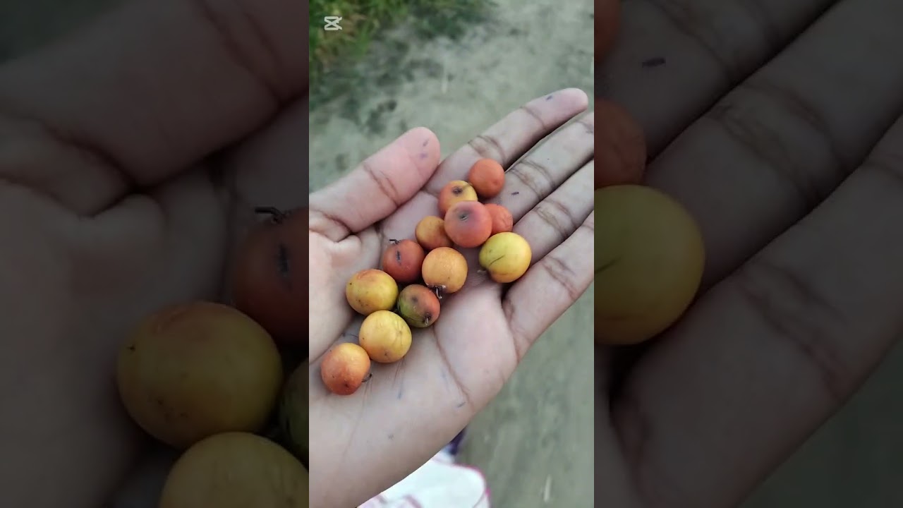 Aj ka khubsurat din