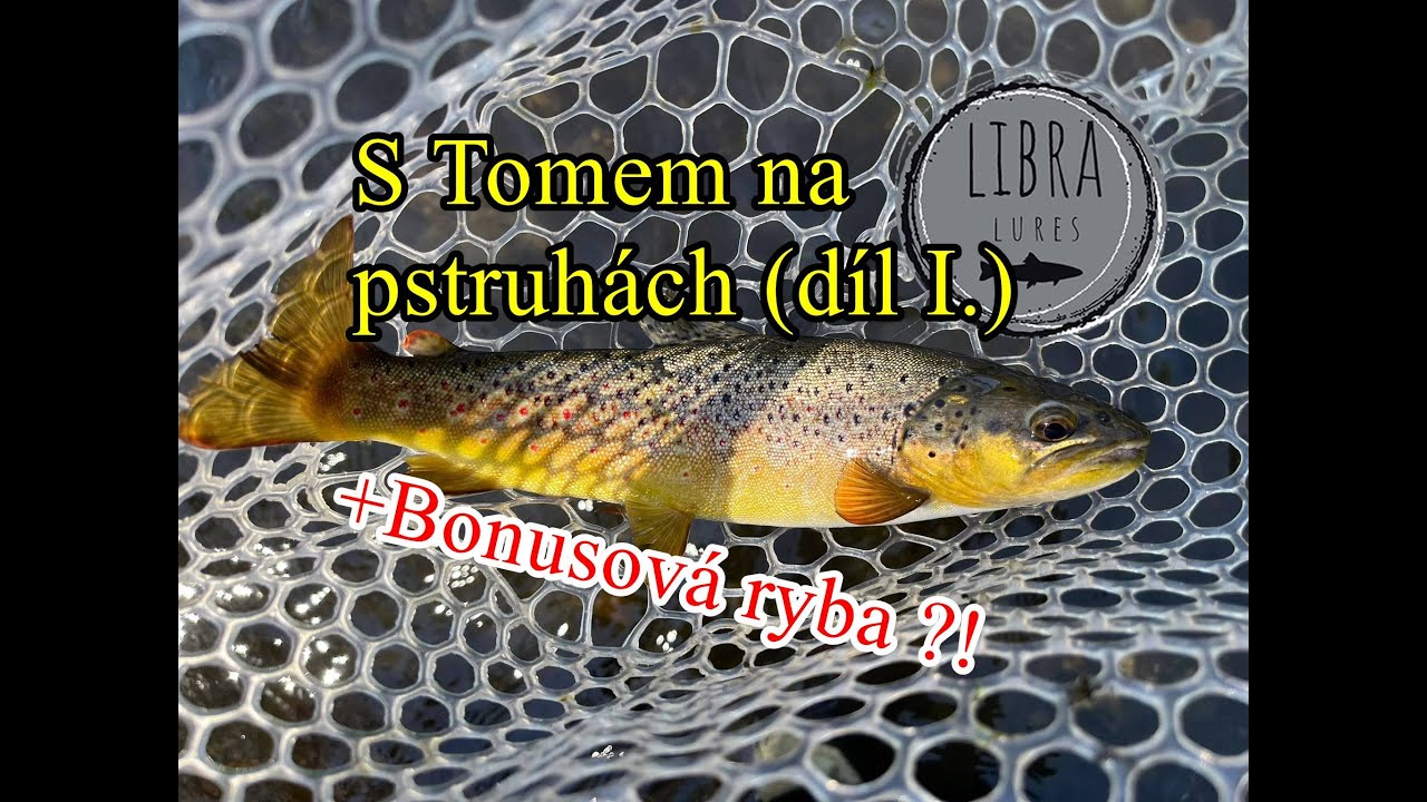 Pstruhová přívlač s kámošem Tomem (díl I. - chytačka jak víno) + bonusová ryba na ULko