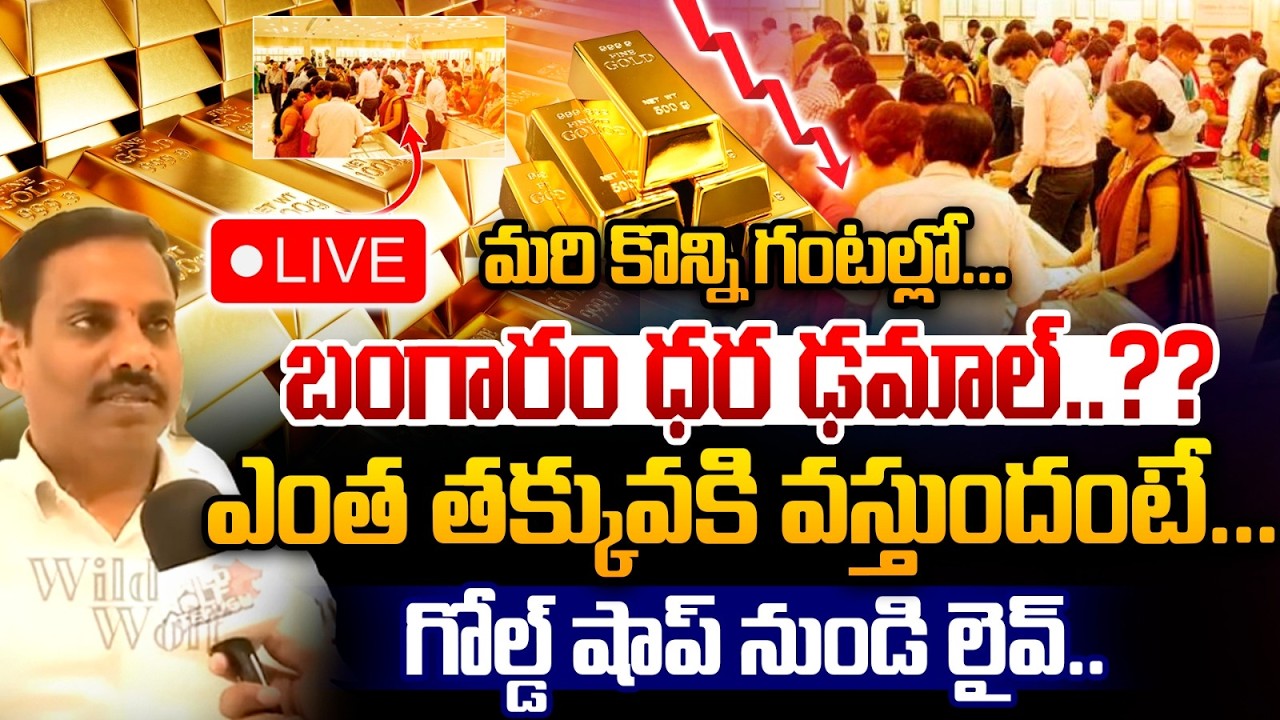 LIVE🔴: మరి కొన్ని గంటల్లో బంగారం ధర ఢమాల్..?గోల్డ్ షాప్ నుండి లైవ్ అప్ డేట్స్ | Wild Wolf Vijayawada