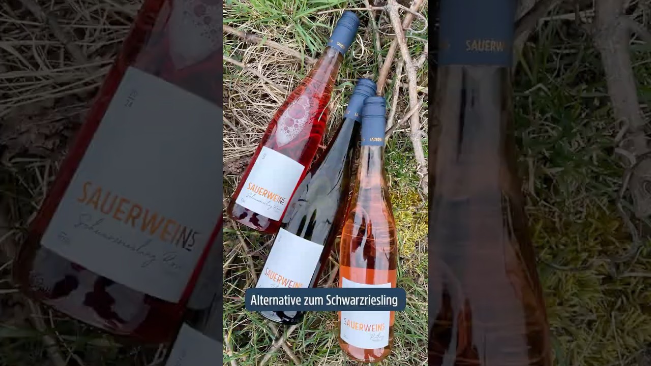 Alternative zum Schwarzriesling Ros&eacute;