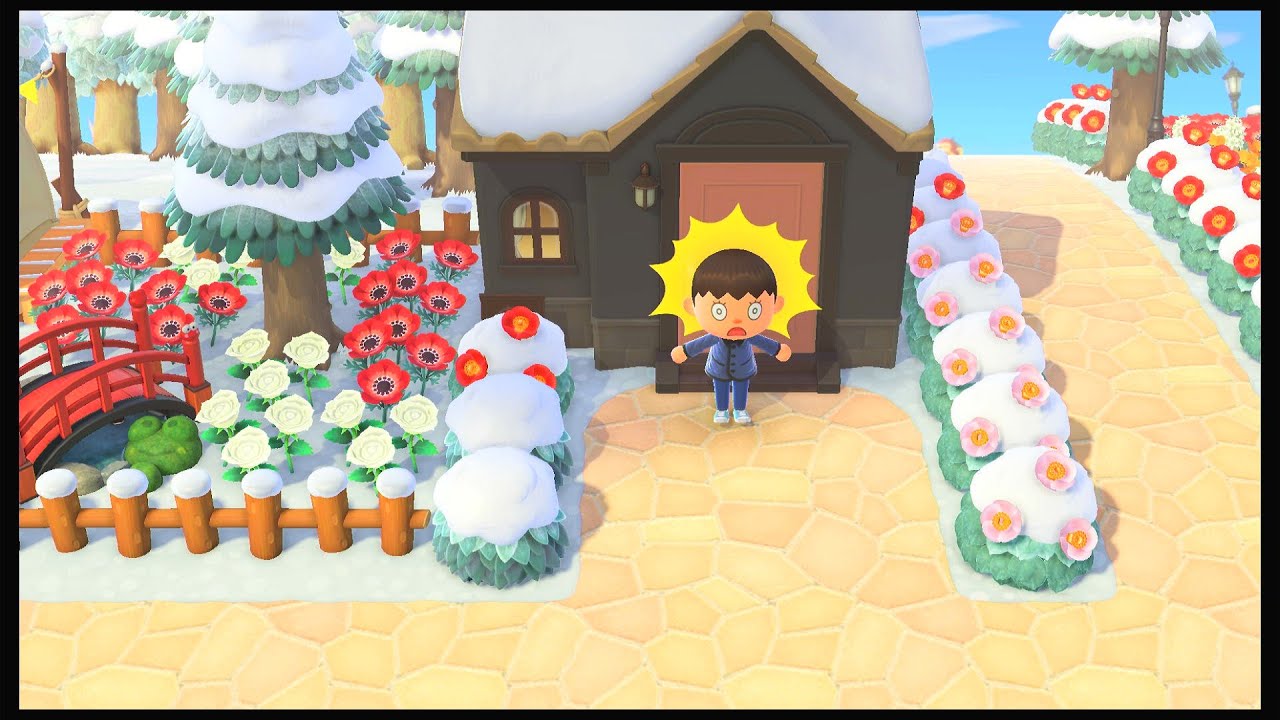 Animal Crossing