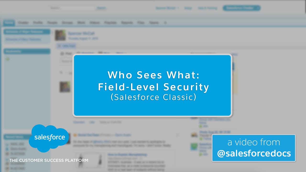Who Sees What: Field Level Security (Salesforce Classic) | Salesforce