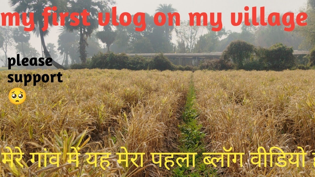 My first vlog on my village|my first vlog|my first blog on my village 2026I#myfirstvlog#8failvloger😭
