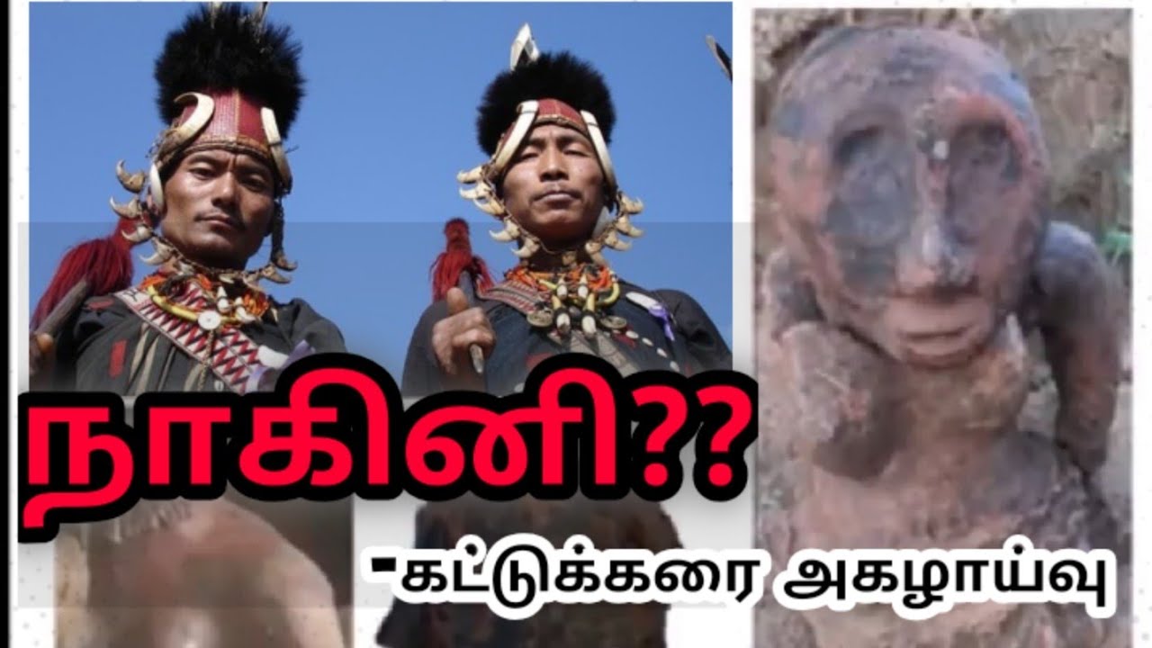நாகர்கள் தமிழர்கள் தான் | கட்டுக்கரை அகழாய்வு | Kattukkarai Excavations | (With English subtitiles)