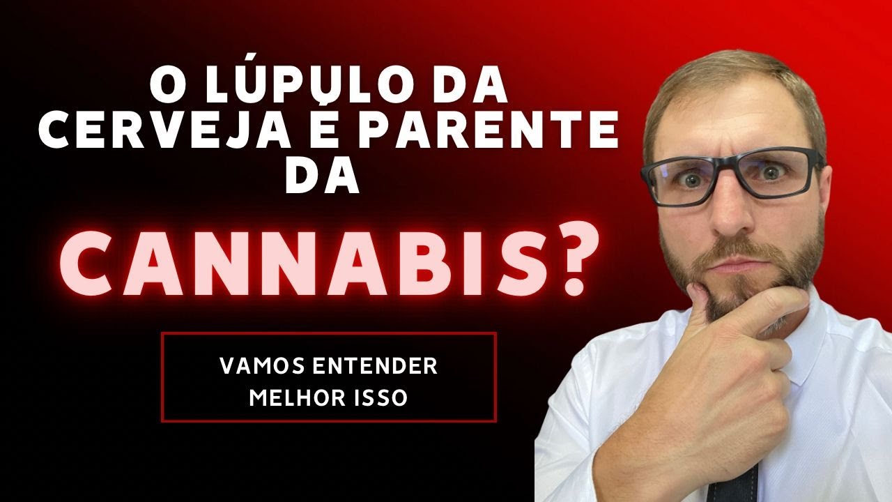 &Eacute; verdade que o L&Uacute;PULO da cerveja &eacute; parente da CANNABIS?
