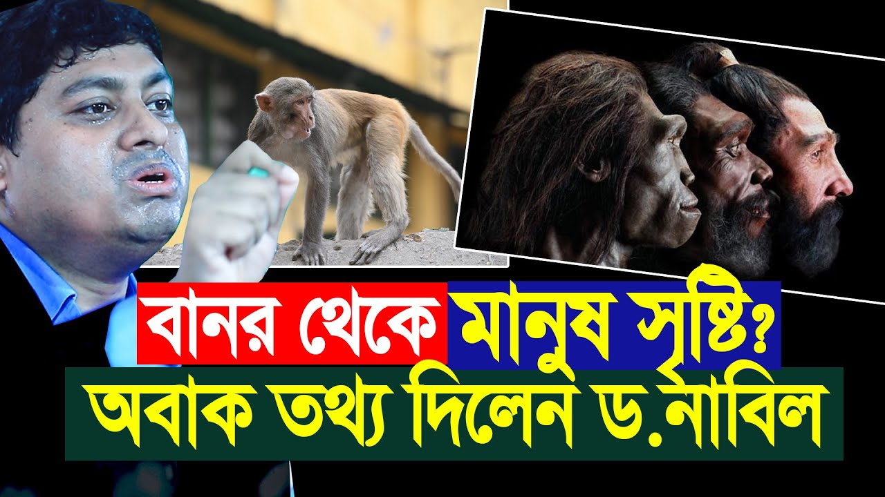 মানুষ বানর থেকে সৃষ্টি নাকি বানর থেকে মানুষ থেকে? Dr Nabil
