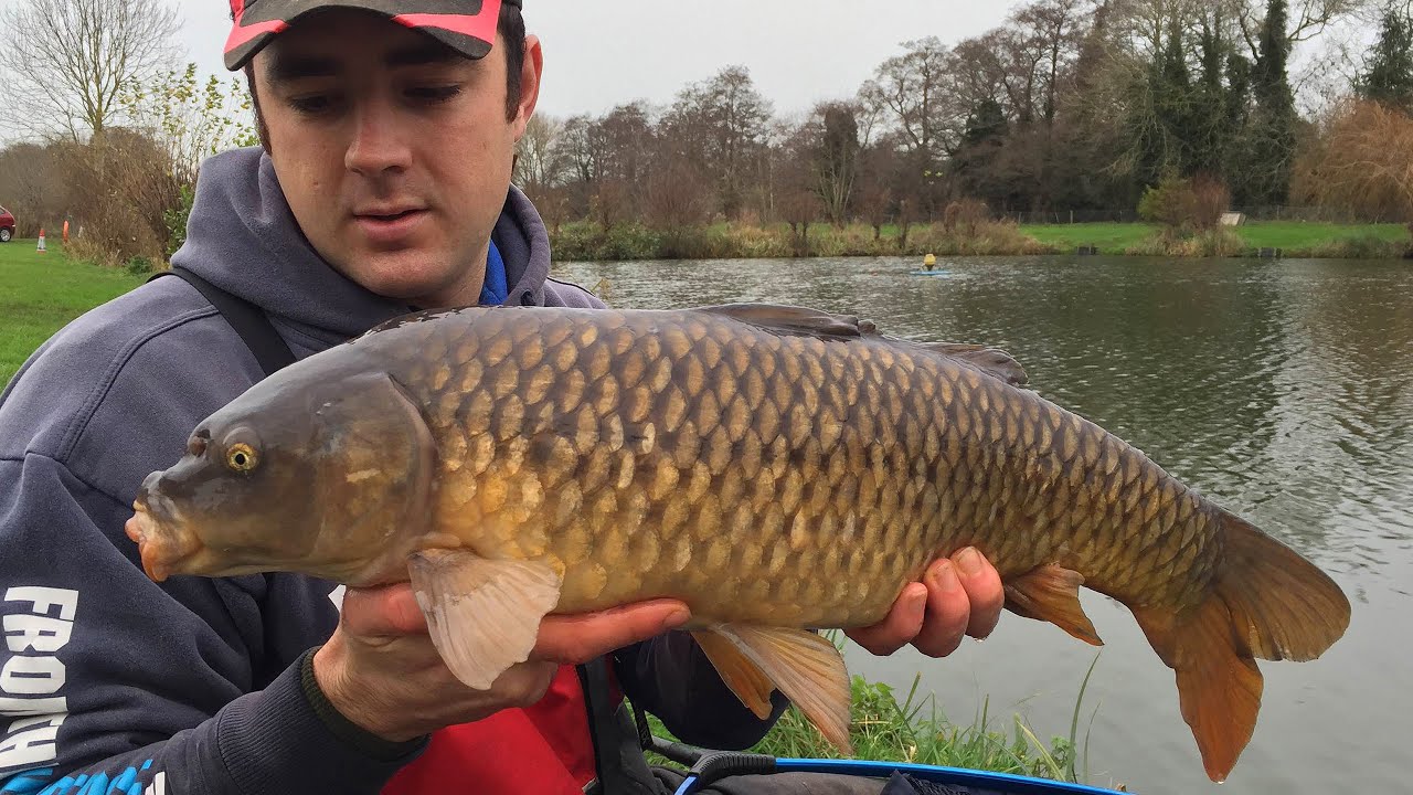Carp Fishing With The Guru Hybrid Feeder