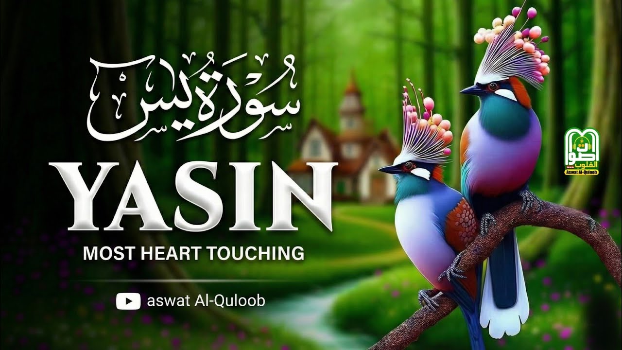 Surah Yaseen | Heart-Touching & Powerful Quran Recitation سورة يس 