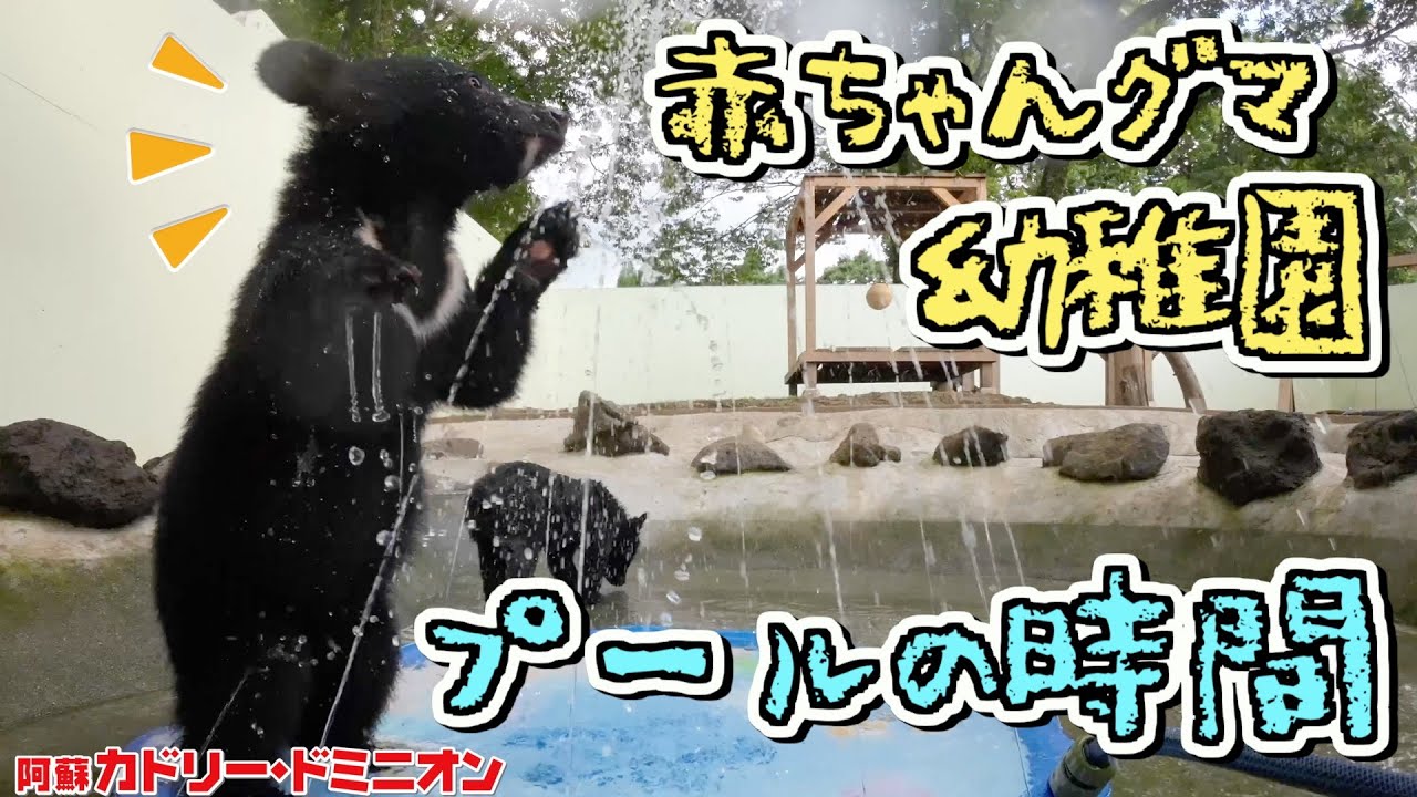 赤ちゃんグマに水遊びグッズを買ったら大喜びではしゃぎ出した！