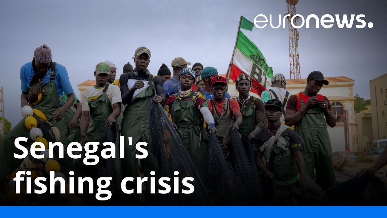 What&rsquo;s behind Senegal&rsquo;s fishing crisis and how does it affect the locals?