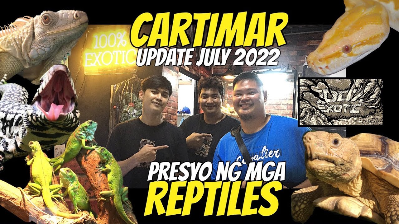 CARTIMAR UPDATE : Presyo ng mga REPTILES 2022 | 100 PERCENT EXOTIC
