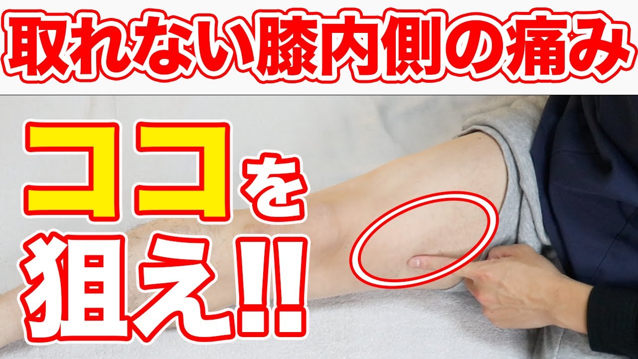 【自分で治す】取れない膝の内側のジンジンする痛みはココを狙え!!【東京　膝の痛み】東京都渋谷区恵比寿の整体院蒼