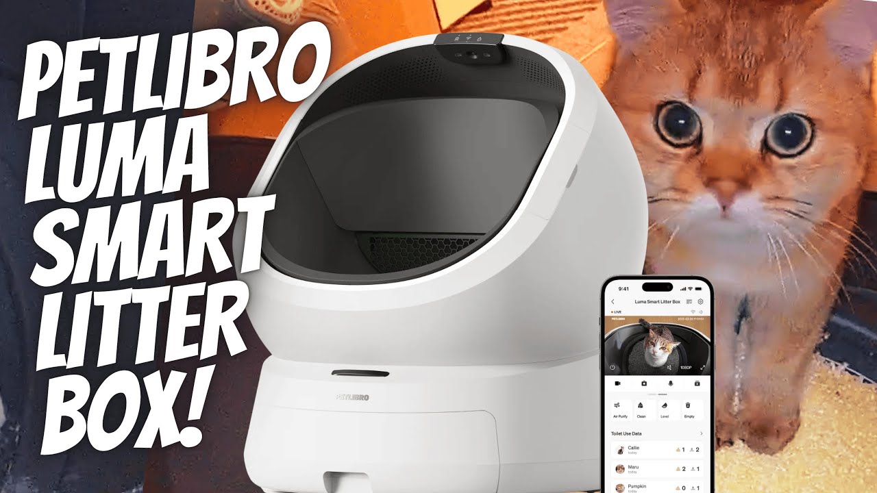 My cats get their first Robo-litter box! PETLIBRO LUMA Smart Litter Box