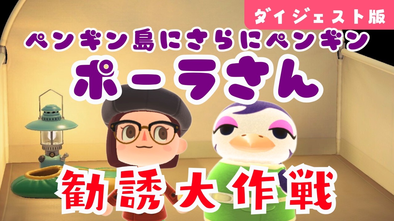 ペンギン島にさらなるペンギン！？ポーラさん勧誘の瞬間【あつ森】