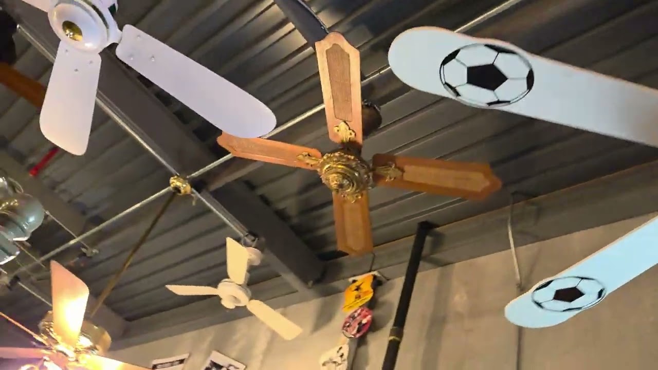 Fanimation Museum 2025