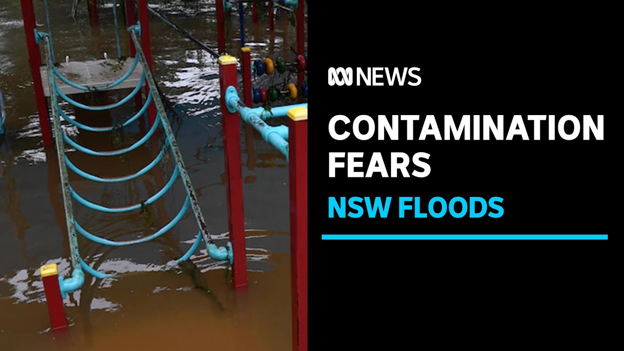 As clean up begins after NSW floods, contaminated water creates further risks | ABC News