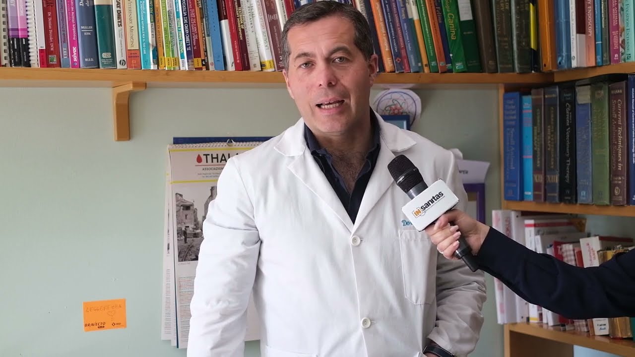 Alimentazione degli animali, i consigli del medico veterinario