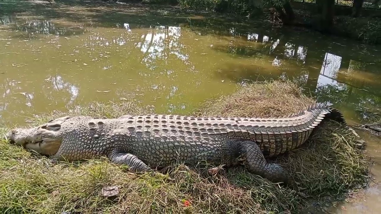 #অনেক সুন্দর একটি জায়গা। #viralvideo #youtube 
