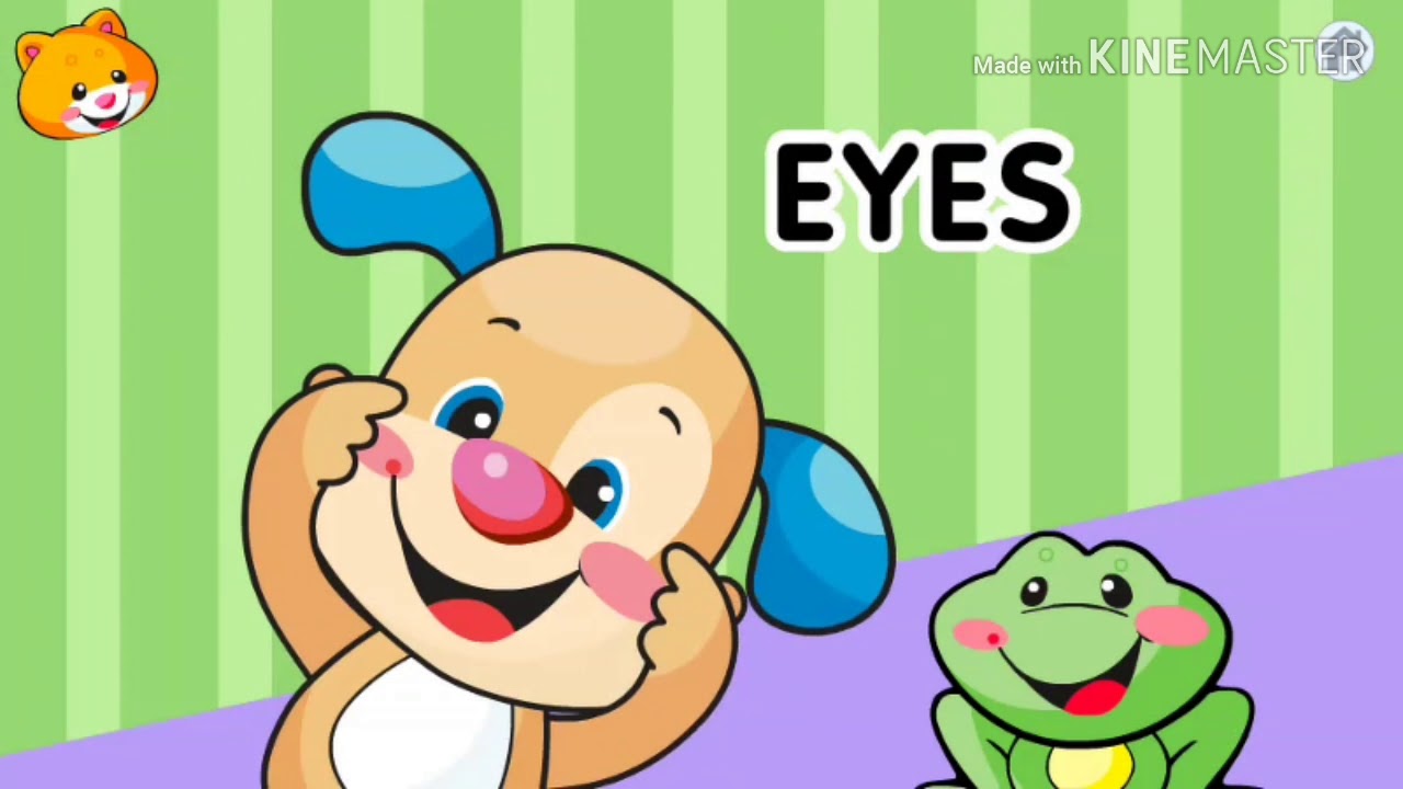 Where's Puppy's Nose? for Baby by FisherPrice