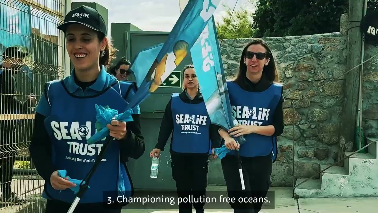 World Oceans Day 🌊🌎